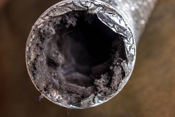 Best Air Duct Cleaning Near Me  in Whippany, NJ